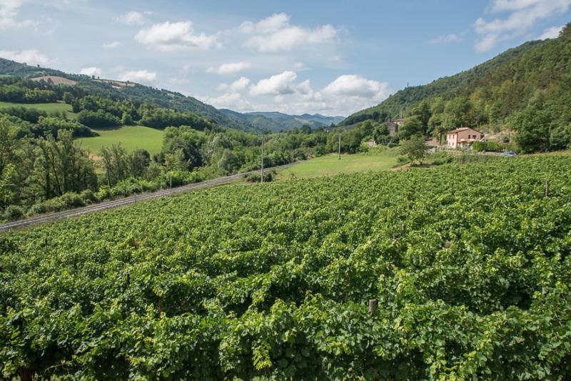 Agriturismo Pedrosola Brisighella Exterior photo